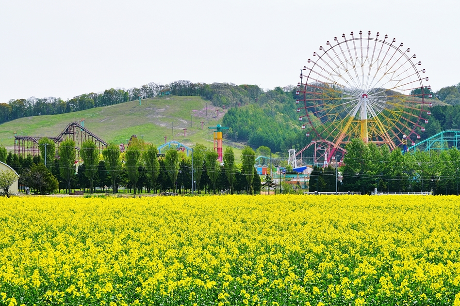 岩見沢市の相続に関する公的な相談窓口