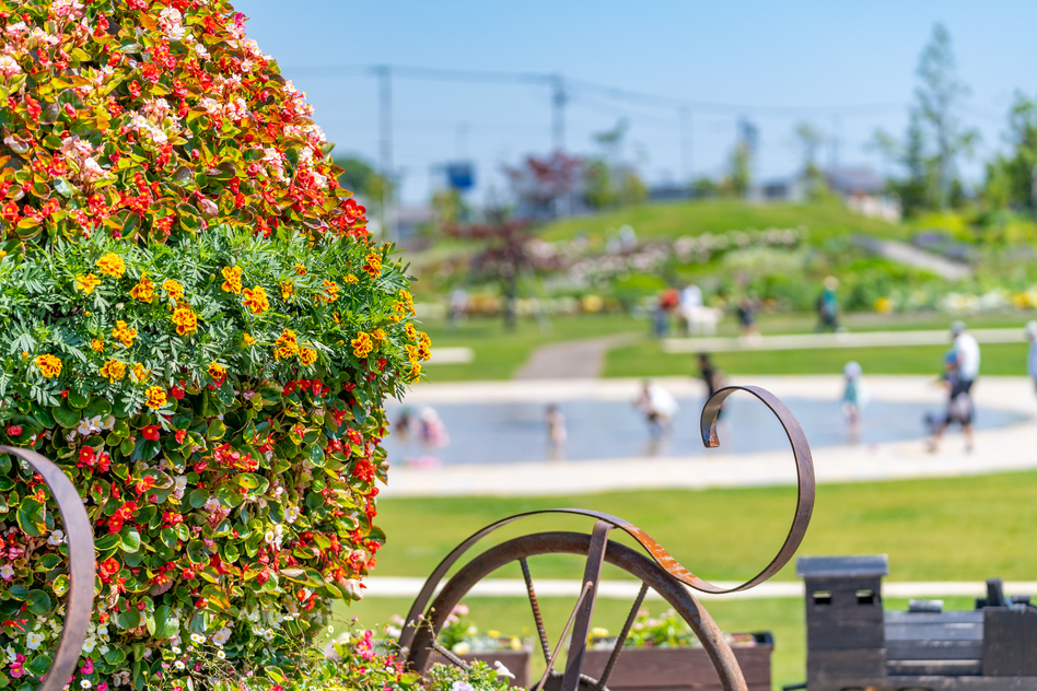 恵庭市の相続に関する公的な相談窓口