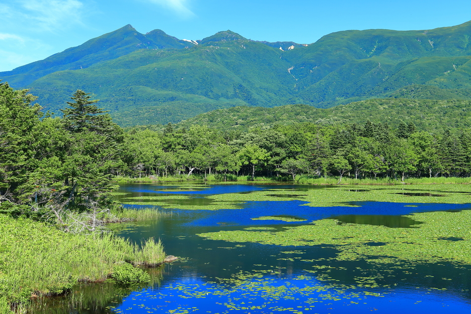 長沼町の相続に関する公的な相談窓口